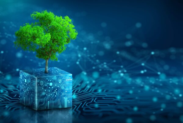 L’impatto ambientale del digitale: le soluzioni per le aziende che vogliono la sostenibilità