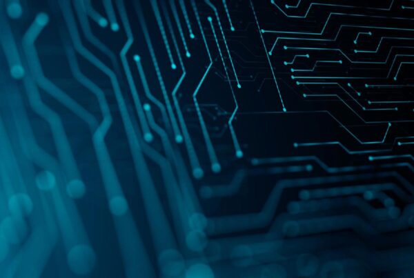 Innovio: la nuova realtà nel settore IT nata dall’unione di Projest e Basis Information Technology