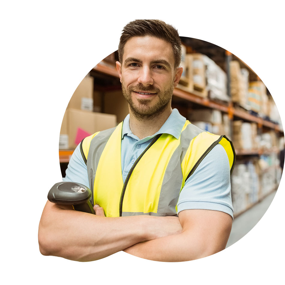 software settore commercio all'ingrosso innovio dx